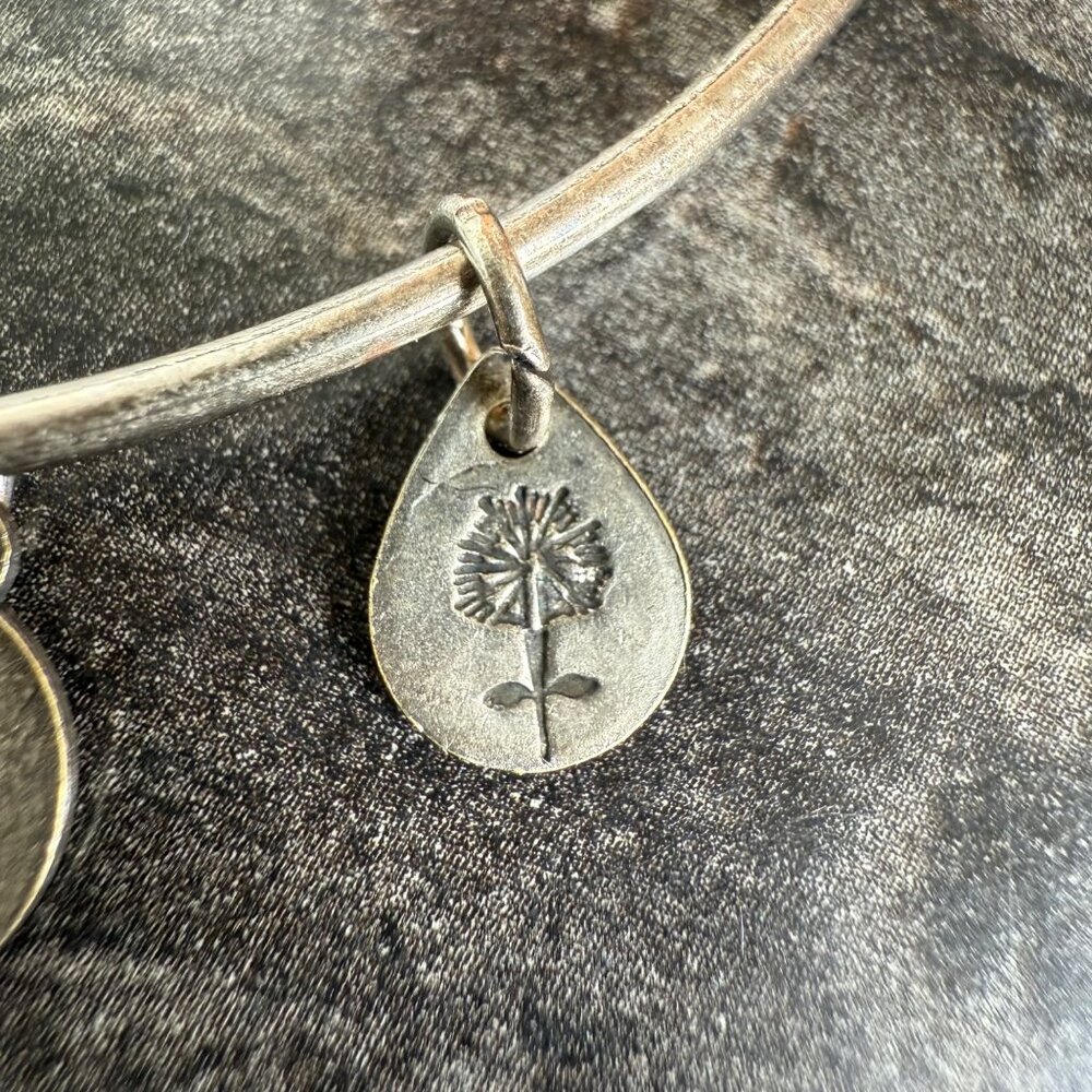 Alex and Ani Apple Charm Bracelet Silver Nature Expandable Bangle - Picture 8 of 14